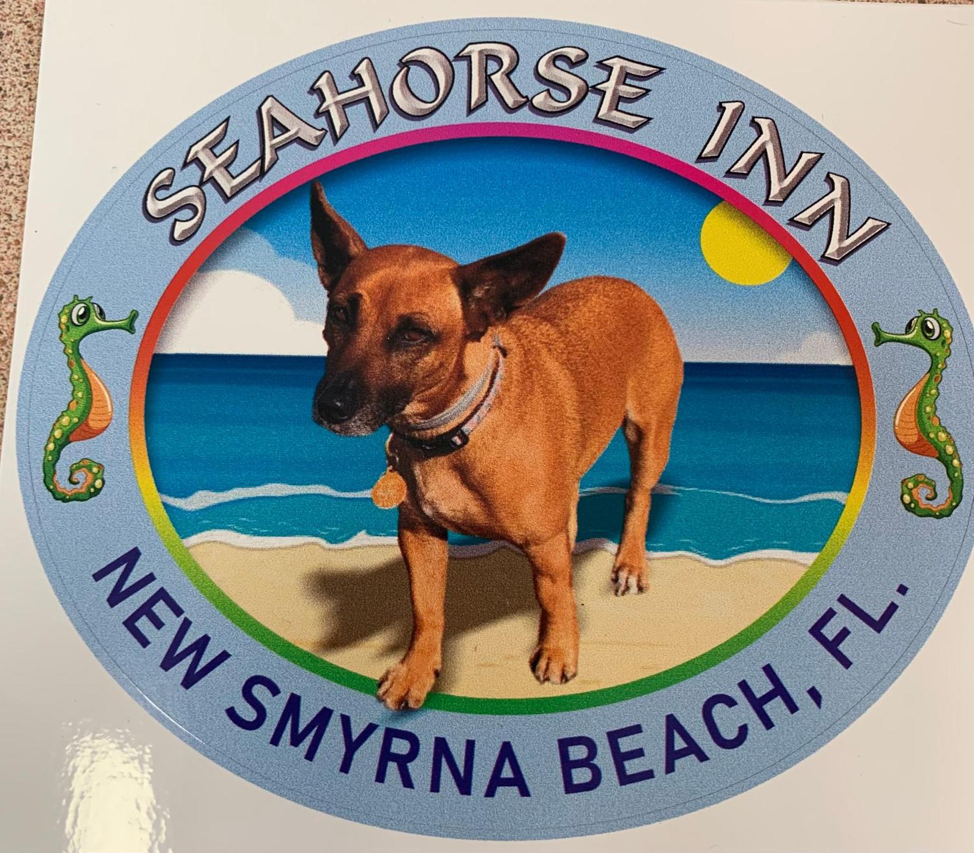 Seahorse Inn New Smyrna Beach Ngoại thất bức ảnh